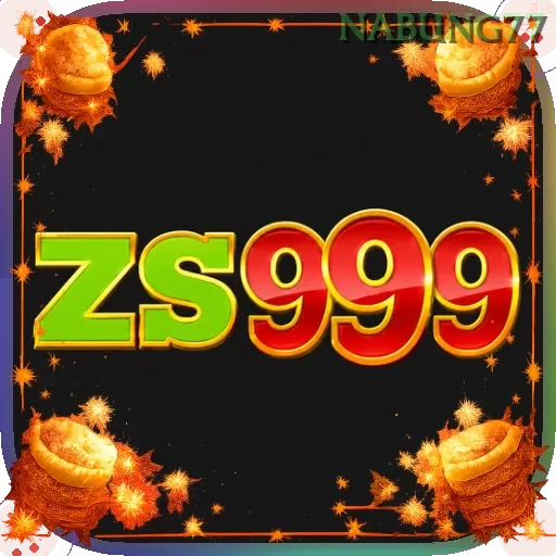 Zs999